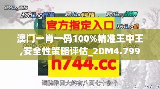 澳门一肖一码100%精准王中王,安全性策略评估_2DM4.799