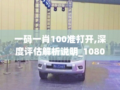 一码一肖100准打开,深度评估解析说明_1080p5.524