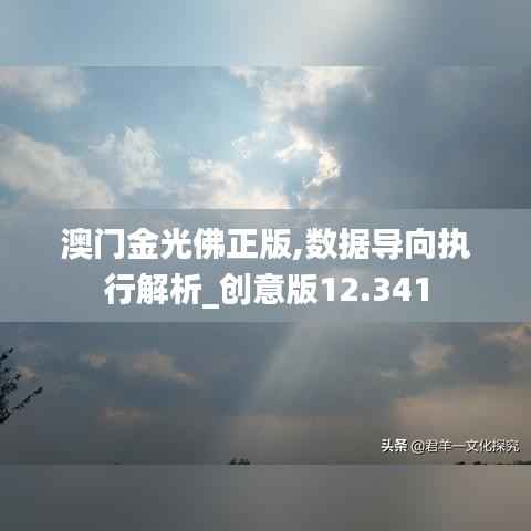 澳门金光佛正版,数据导向执行解析_创意版12.341