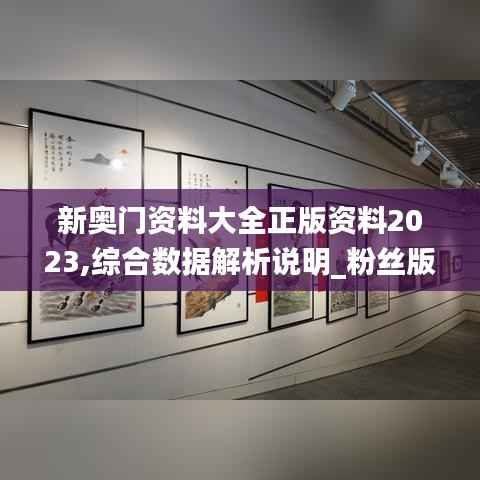 新奥门资料大全正版资料2023,综合数据解析说明_粉丝版2.702