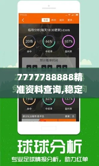 7777788888精准资料查询,稳定解析策略_免费版17.671