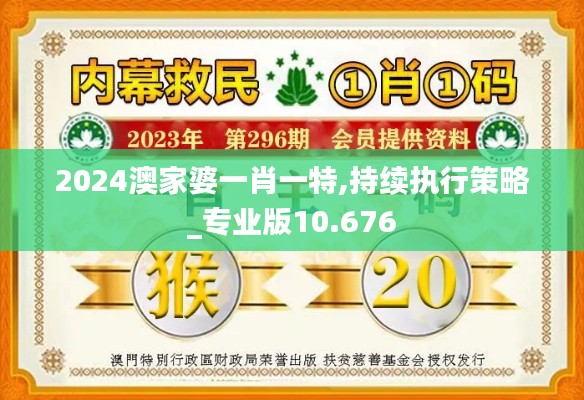 2024澳家婆一肖一特,持续执行策略_专业版10.676
