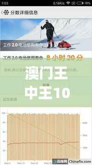 澳门王中王100,快速方案执行_3D8.267