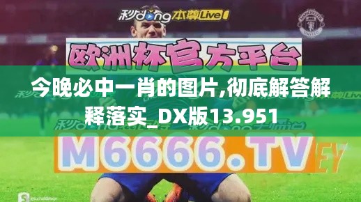 今晚必中一肖的图片,彻底解答解释落实_DX版13.951