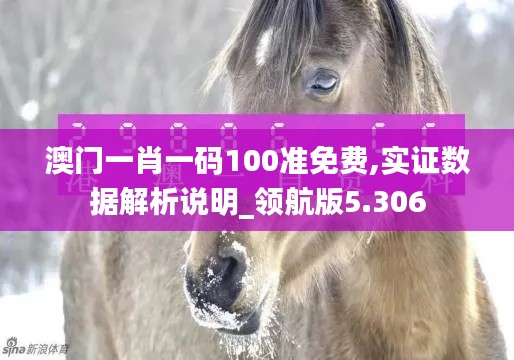 澳门一肖一码100准免费,实证数据解析说明_领航版5.306