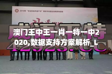 澳门王中王一肖一特一中2020,数据支持方案解析_L版2.655