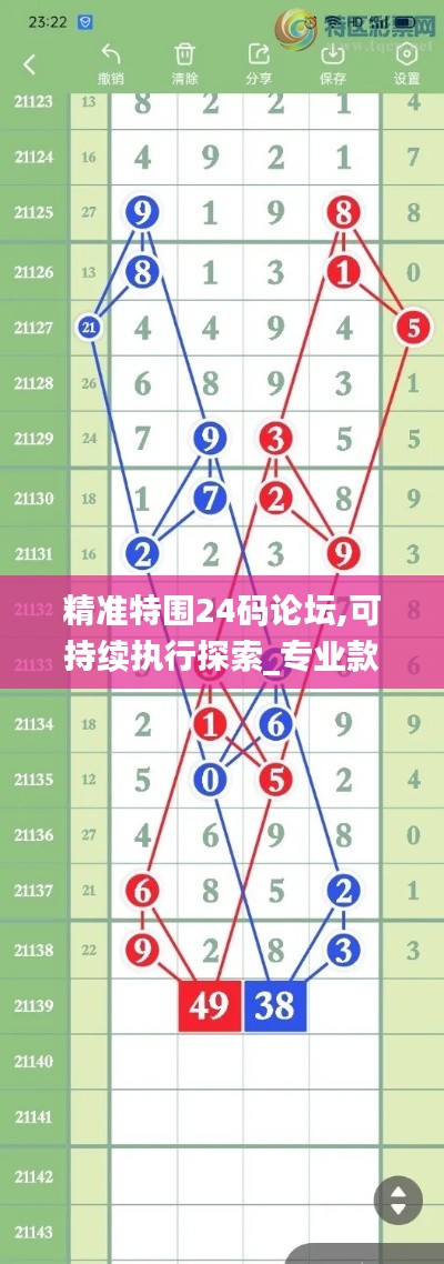 精准特围24码论坛,可持续执行探索_专业款17.828