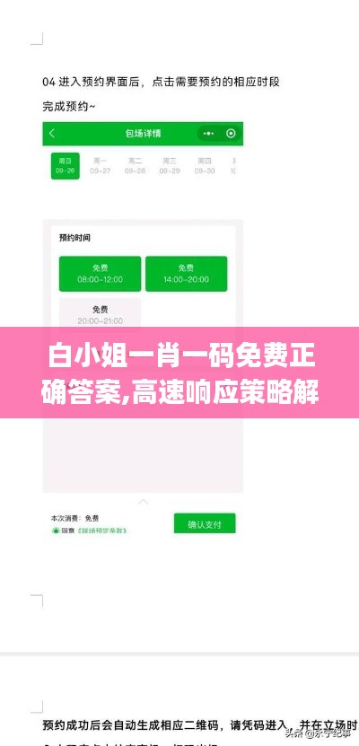 白小姐一肖一码免费正确答案,高速响应策略解析_特供版8.598