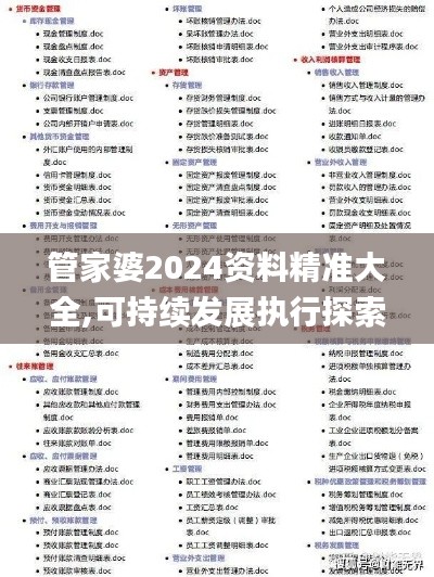 管家婆2024资料精准大全,可持续发展执行探索_终极版4.768