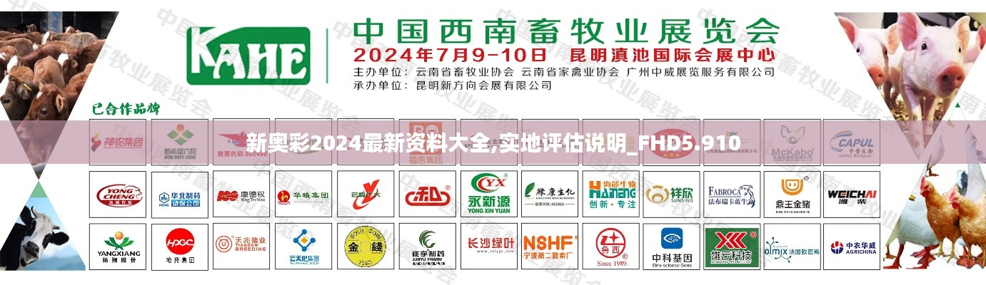 新奥彩2024最新资料大全,实地评估说明_FHD5.910