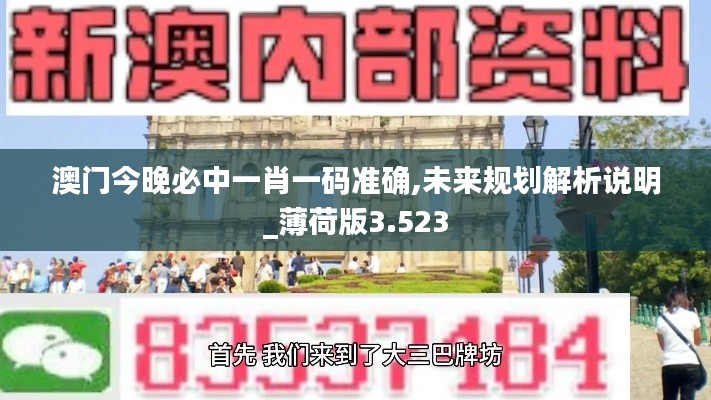 澳门今晚必中一肖一码准确,未来规划解析说明_薄荷版3.523