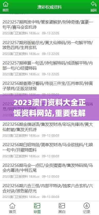 2023澳门资料大全正饭资料网站,重要性解释落实方法_nShop1.938