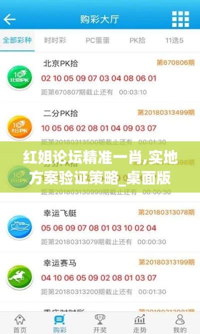 红姐论坛精准一肖,实地方案验证策略_桌面版4.350