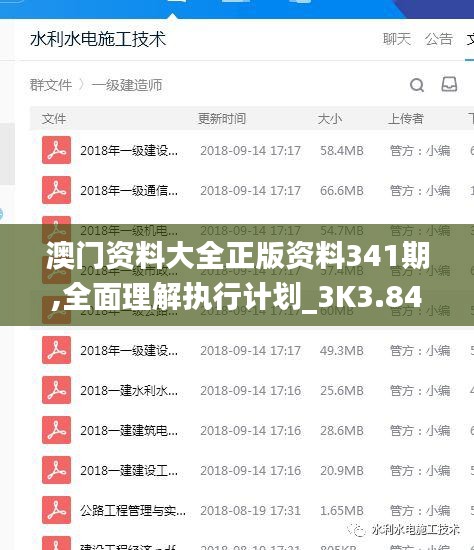 澳门资料大全正版资料341期,全面理解执行计划_3K3.848