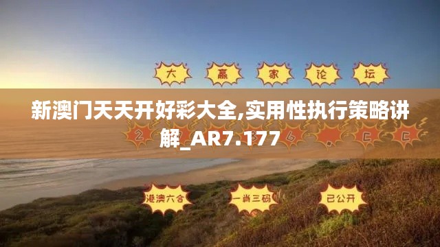 新澳门天天开好彩大全,实用性执行策略讲解_AR7.177