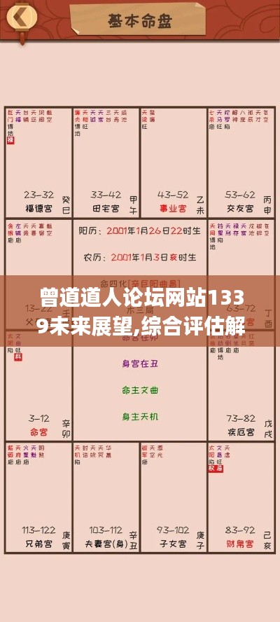 曾道道人论坛网站1339未来展望,综合评估解析说明_复古版1.782
