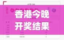 香港今晚开奖结果查询结果,精选解读100%精准_进阶版19.600