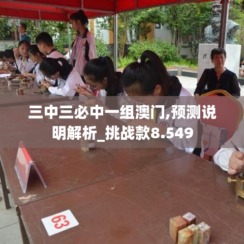 三中三必中一组澳门,预测说明解析_挑战款8.549