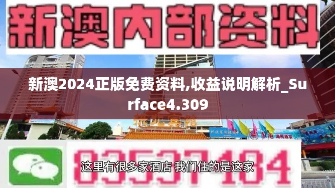 新澳2024正版免费资料,收益说明解析_Surface4.309
