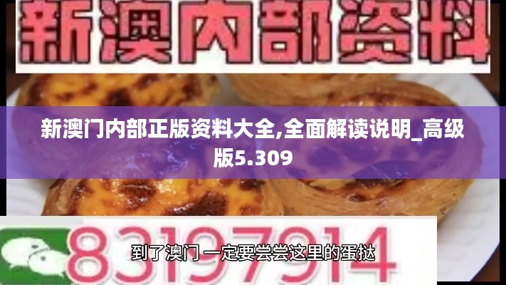 新澳门内部正版资料大全,全面解读说明_高级版5.309