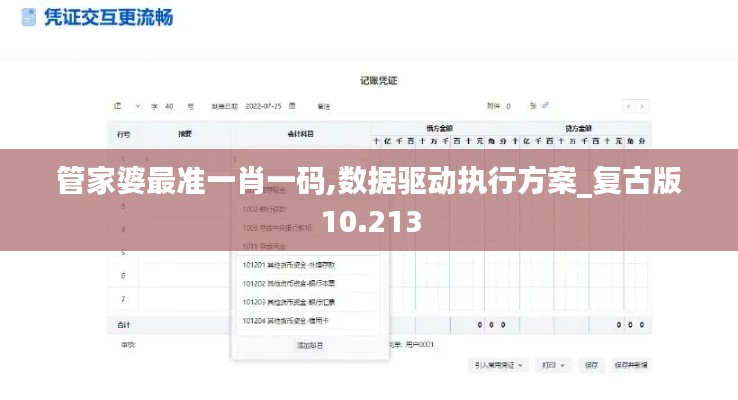 管家婆最准一肖一码,数据驱动执行方案_复古版10.213