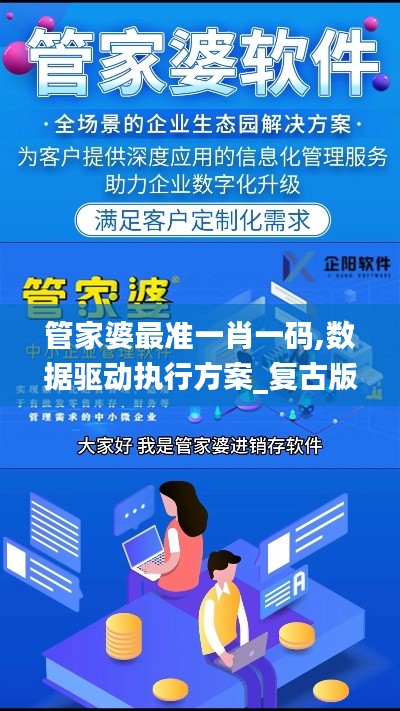 管家婆最准一肖一码,数据驱动执行方案_复古版10.213