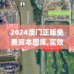 2024澳门正版免费资本图库,实效性策略解读_D版6.458