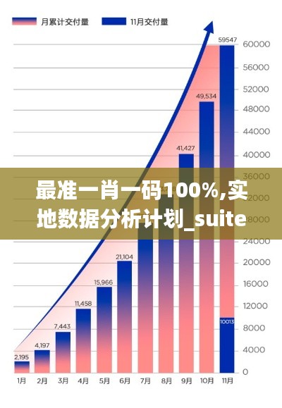 最准一肖一码100%,实地数据分析计划_suite5.499