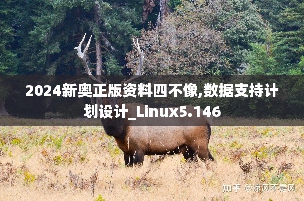 2024新奥正版资料四不像,数据支持计划设计_Linux5.146