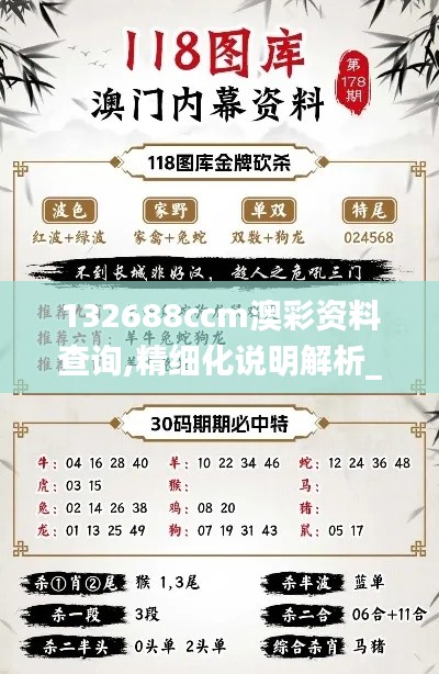 132688ccm澳彩资料查询,精细化说明解析_影像版4.363