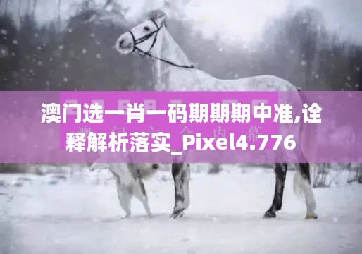 澳门选一肖一码期期期中准,诠释解析落实_Pixel4.776