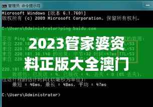 2023管家婆资料正版大全澳门,数据驱动分析解析_6DM19.294
