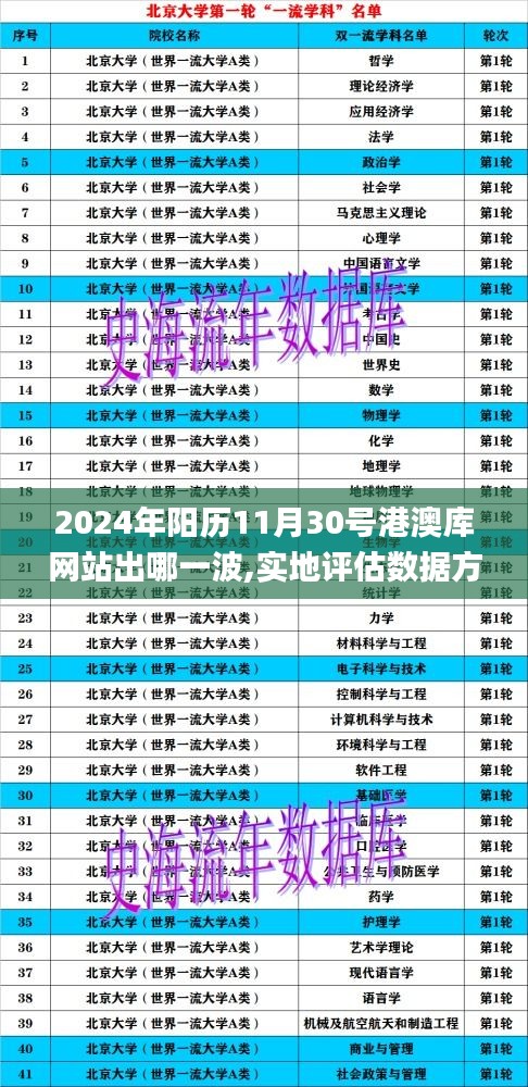 2024年阳历11月30号港澳库网站出哪一波,实地评估数据方案_Executive3.594