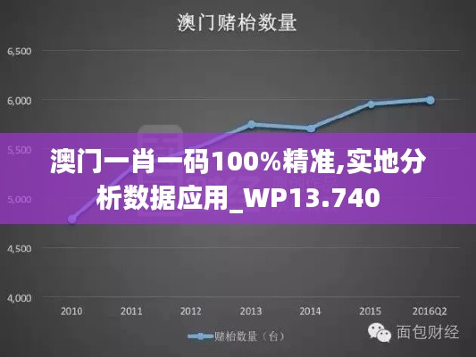 澳门一肖一码100%精准,实地分析数据应用_WP13.740