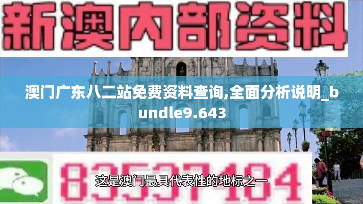 澳门广东八二站免费资料查询,全面分析说明_bundle9.643