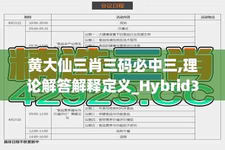 黄大仙三肖三码必中三,理论解答解释定义_Hybrid3.449