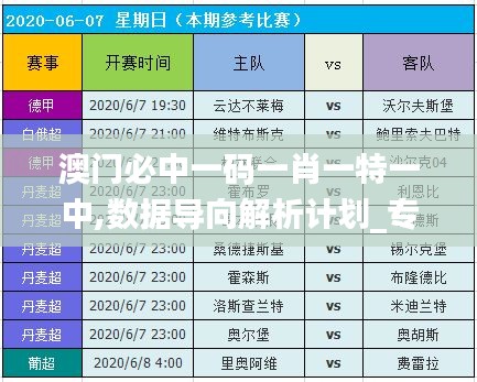 澳门必中一码一肖一特一中,数据导向解析计划_专业版1.262