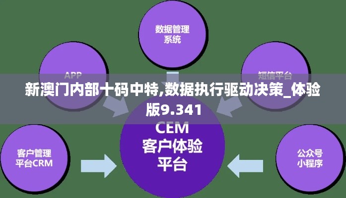 新澳门内部十码中特,数据执行驱动决策_体验版9.341