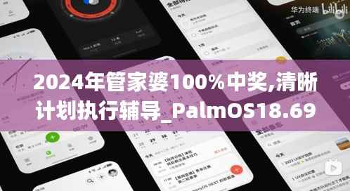 2024年管家婆100%中奖,清晰计划执行辅导_PalmOS18.690