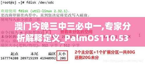 澳门今晚三中三必中一,专家分析解释定义_PalmOS110.537