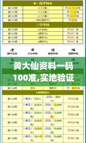 黄大仙资料一码100准,实地验证策略数据_定制版7.108