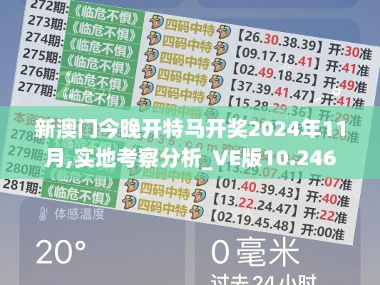 新澳门今晚开特马开奖2024年11月,实地考察分析_VE版10.246
