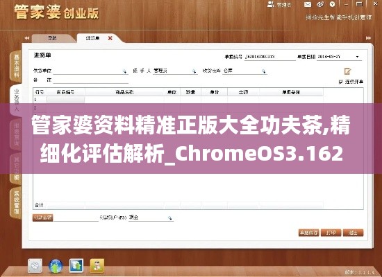 管家婆资料精准正版大全功夫茶,精细化评估解析_ChromeOS3.162