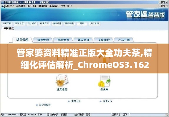 管家婆资料精准正版大全功夫茶,精细化评估解析_ChromeOS3.162
