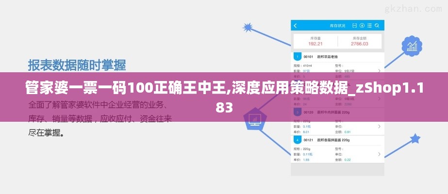 管家婆一票一码100正确王中王,深度应用策略数据_zShop1.183