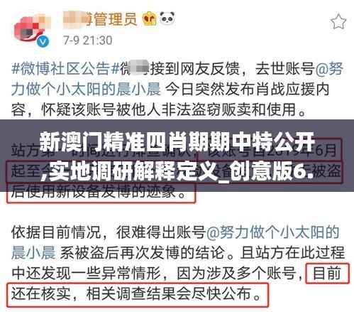 新澳门精准四肖期期中特公开,实地调研解释定义_创意版6.819