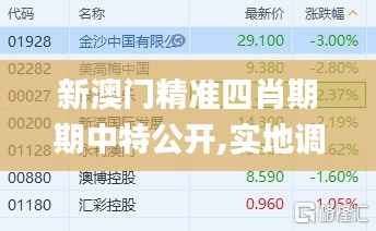 新澳门精准四肖期期中特公开,实地调研解释定义_创意版6.819