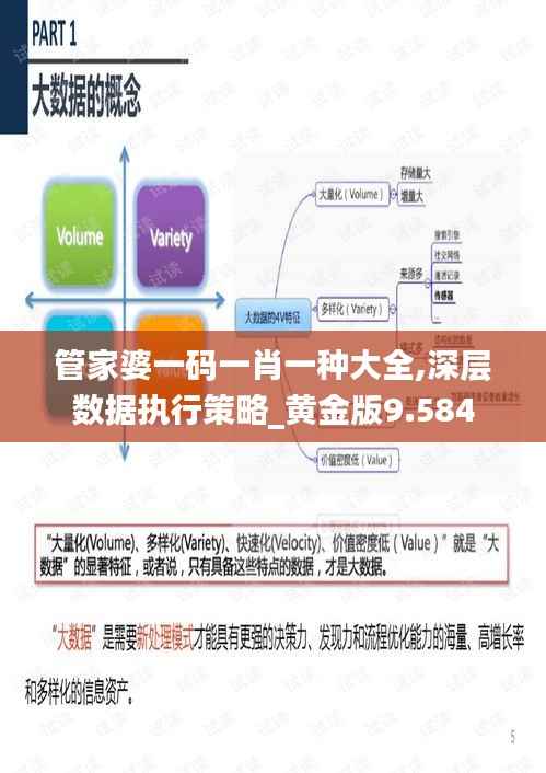 管家婆一码一肖一种大全,深层数据执行策略_黄金版9.584