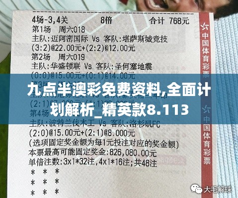 九点半澳彩免费资料,全面计划解析_精英款8.113