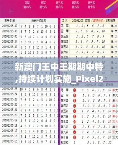 新澳门王中王期期中特,持续计划实施_Pixel2.191
